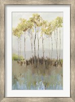 Peaceful Woodland Fine Art Print