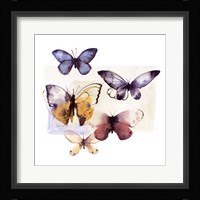 Butterfly Fly Away III Framed Print