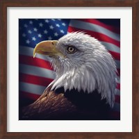 American Bald Eagle Fine Art Print