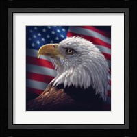 American Bald Eagle Fine Art Print