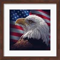 American Bald Eagle Fine Art Print