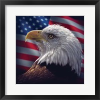 American Bald Eagle Fine Art Print