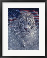 White Tiger America Fine Art Print