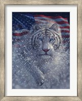 White Tiger America Fine Art Print