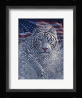 White Tiger America Fine Art Print