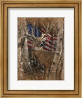 Whitetail Buck America Fine Art Print