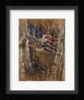 Whitetail Buck America Fine Art Print