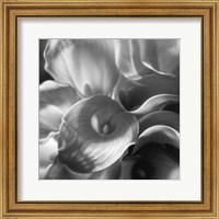 Calla Lillie Bouquet Fine Art Print