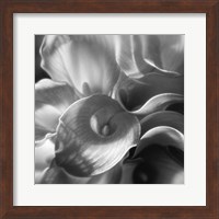 Calla Lillie Bouquet Fine Art Print