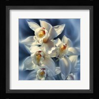 Orchids Fine Art Print