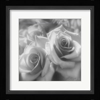 Rose Pair B&W Fine Art Print