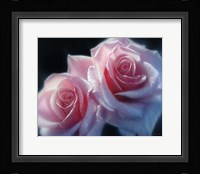 Roses - Pink Pair Fine Art Print