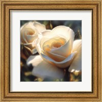 White Rose - Colors of White - Square Fine Art Print