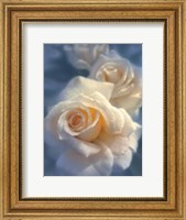 White Roses - Unforgettable Fine Art Print
