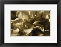 Golden Lilies Fine Art Print