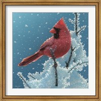 Cardinal - Cherry on Top Fine Art Print