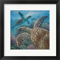 Sea Turtles - Turtle Bay - Square Fine Art Print
