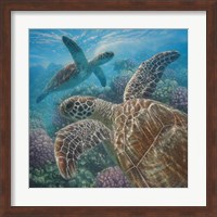 Sea Turtles - Turtle Bay - Square Fine Art Print