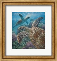 Sea Turtles - Turtle Bay Fine Art Print