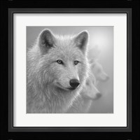 Arctic Wolves - Whiteout - B&W Fine Art Print