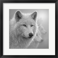 Arctic Wolves - Whiteout - B&W Fine Art Print