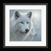 Arctic Wolves - Whiteout Fine Art Print