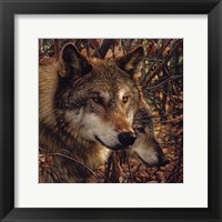 Autumn Wolves Fine Art Print