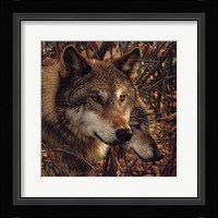 Autumn Wolves Fine Art Print