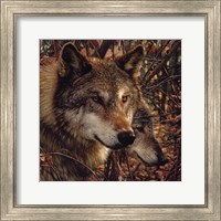 Autumn Wolves Fine Art Print
