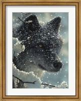 Black Wolf - Black in White Fine Art Print