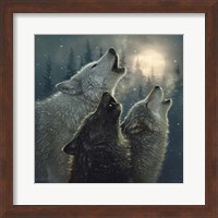 Howling Wolves - In Harmony Fine Art Print