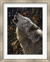 Howling Wolf - Songs of Autumn Fine Art Print