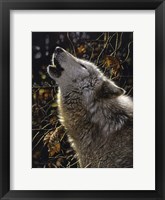 Howling Wolf - Songs of Autumn Fine Art Print
