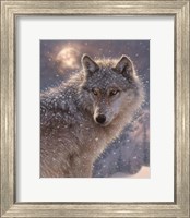 Lone Wolf Fine Art Print