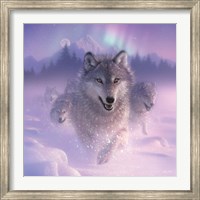 Running Wolves - Northern Lights - Square Fine Art Print