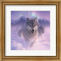 Running Wolves - Northern Lights - Square Fine Art Print