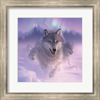 Running Wolves - Northern Lights - Square Fine Art Print