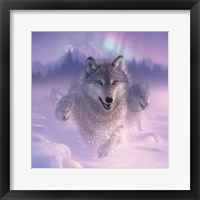 Running Wolves - Northern Lights - Square Framed Print