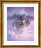 Running Wolves - Northern Lights Fine Art Print