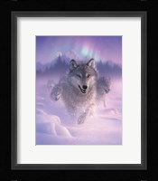 Running Wolves - Northern Lights Fine Art Print