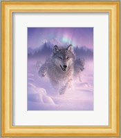 Running Wolves - Northern Lights Fine Art Print