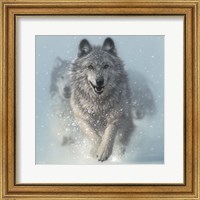 Running Wolves - Snow Plow - Square Fine Art Print