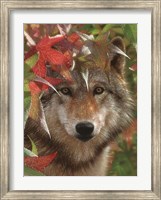 Wolf - Autumn Encounter Fine Art Print