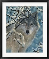 Wolf - Broken Silence Fine Art Print