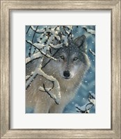 Wolf - Broken Silence Fine Art Print