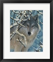 Wolf - Broken Silence Fine Art Print