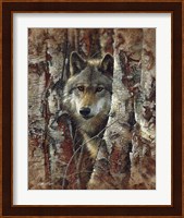 Wolf - Woodland Spirit Fine Art Print