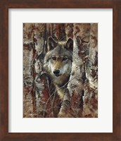 Wolf - Woodland Spirit Fine Art Print