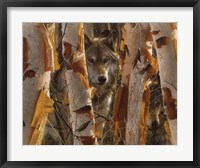 Wolves - The Guardian Fine Art Print