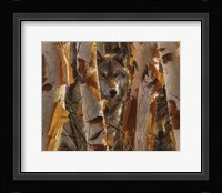 Wolves - The Guardian Fine Art Print